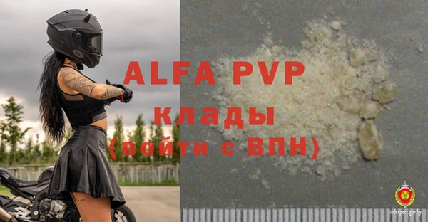 прущие крисы Надым