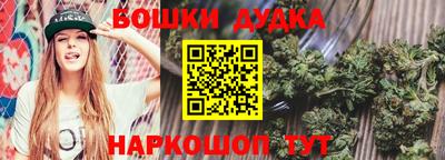 прущие крисы Новодвинск