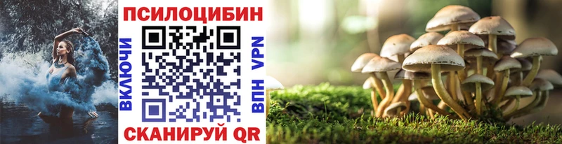 Псилоцибиновые грибы Psilocybe  где можно купить наркотик  Липецк 