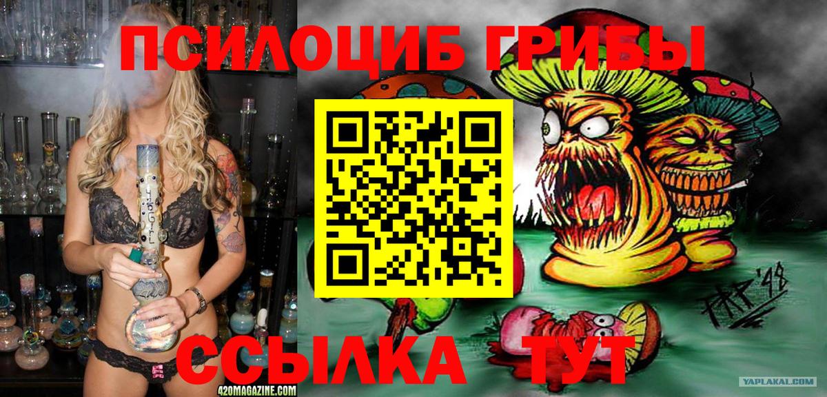 Псилоцибиновые грибы Psilocybe  Вход с VPN  Липецк 