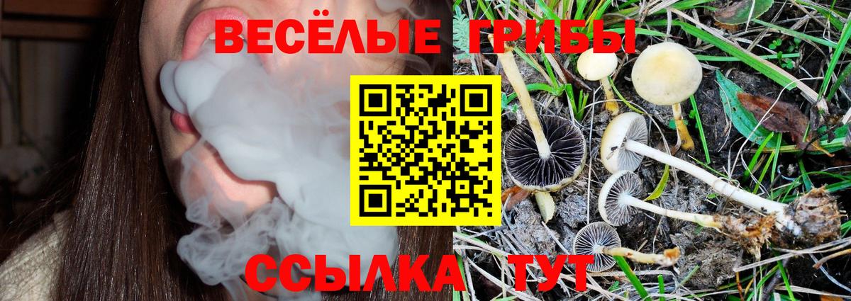 Псилоцибиновые грибы мицелий Липецк