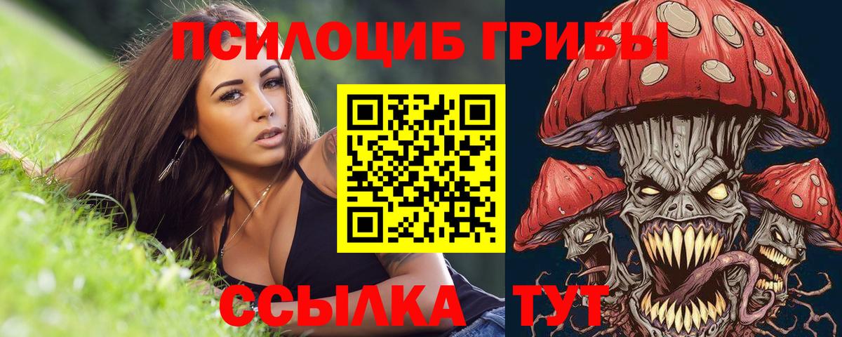 Галлюциногенные грибы Cubensis Липецк